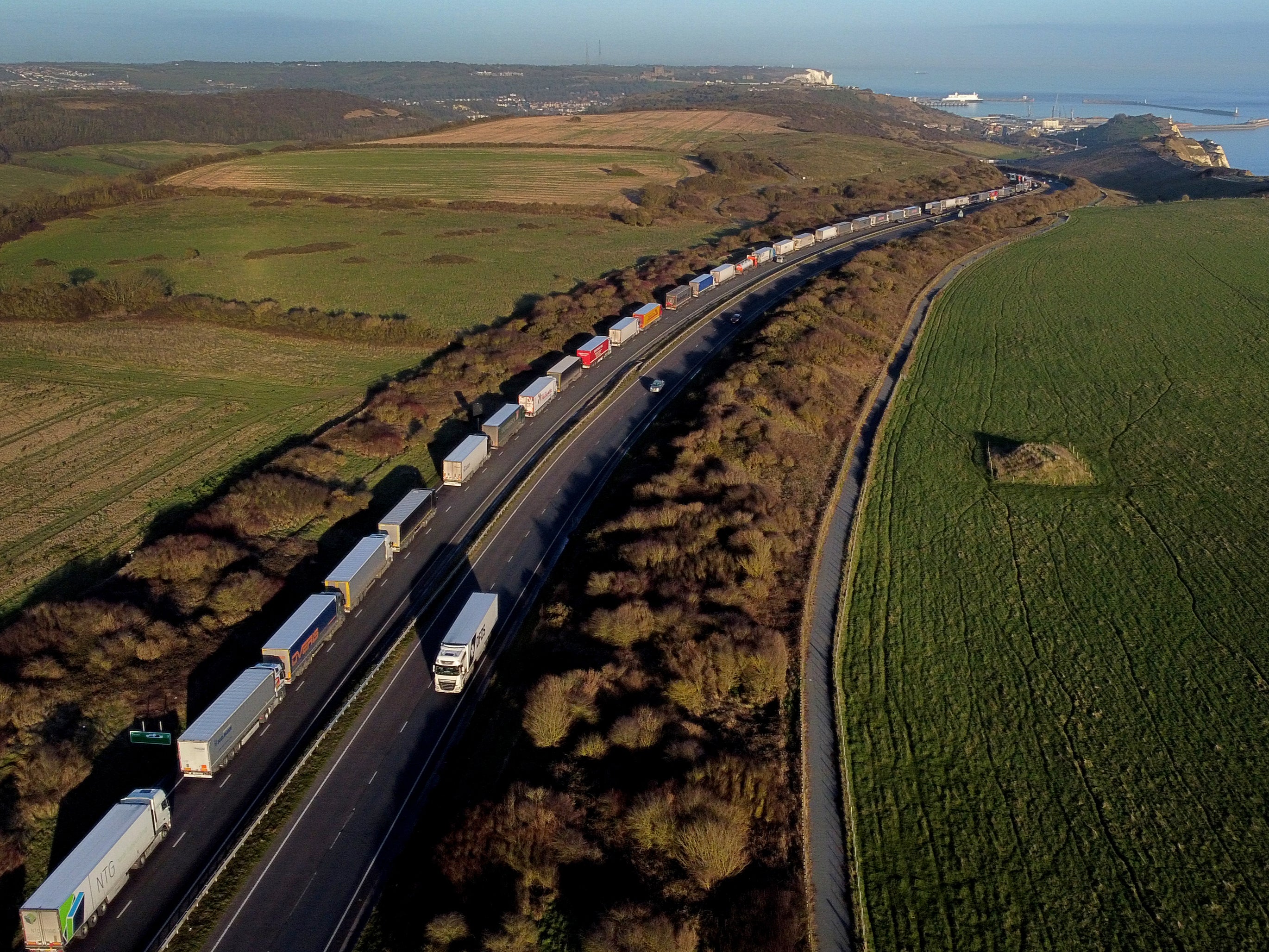 Lorries queue outside the port of Dover in Kent on 18 January