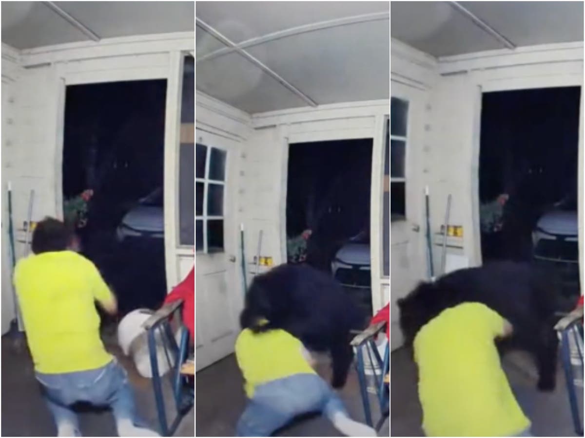 Florida Man Fights Off Bear In Dramatic Video The Independent
