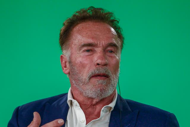 <p>Arnold Schwarzenegger photographed in 2019</p>
