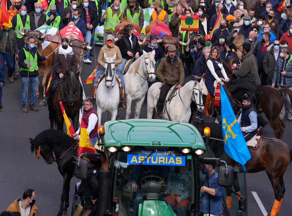 Agricultores, ganaderos protestan contra el gobierno español | Independent Español