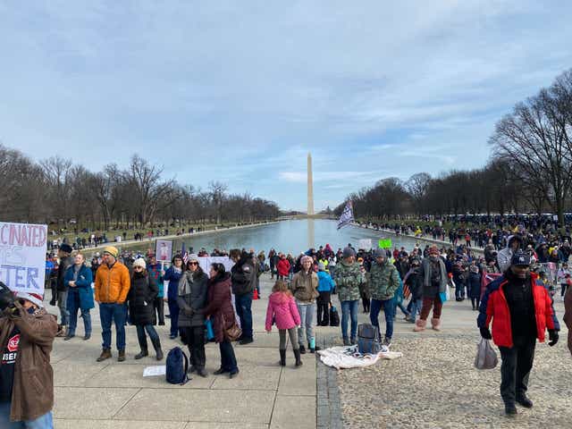 <p>Protesters join a march to ‘Defeat the Mandates’ in Washington DC</p>