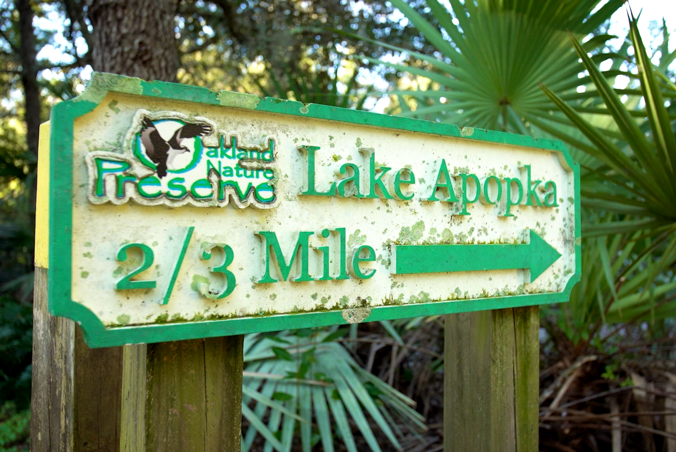 Wild walking: sign pointing the way to the waterside of Lake Apopka