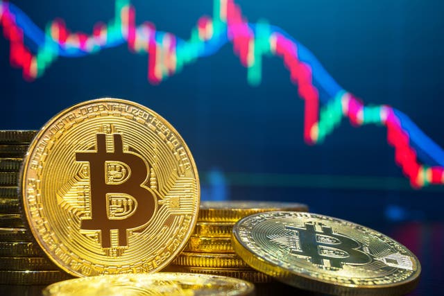 <p>The yo-yo price of bitcoin has made millions for some early investors, but recent months have seen a sharp reversal</p>