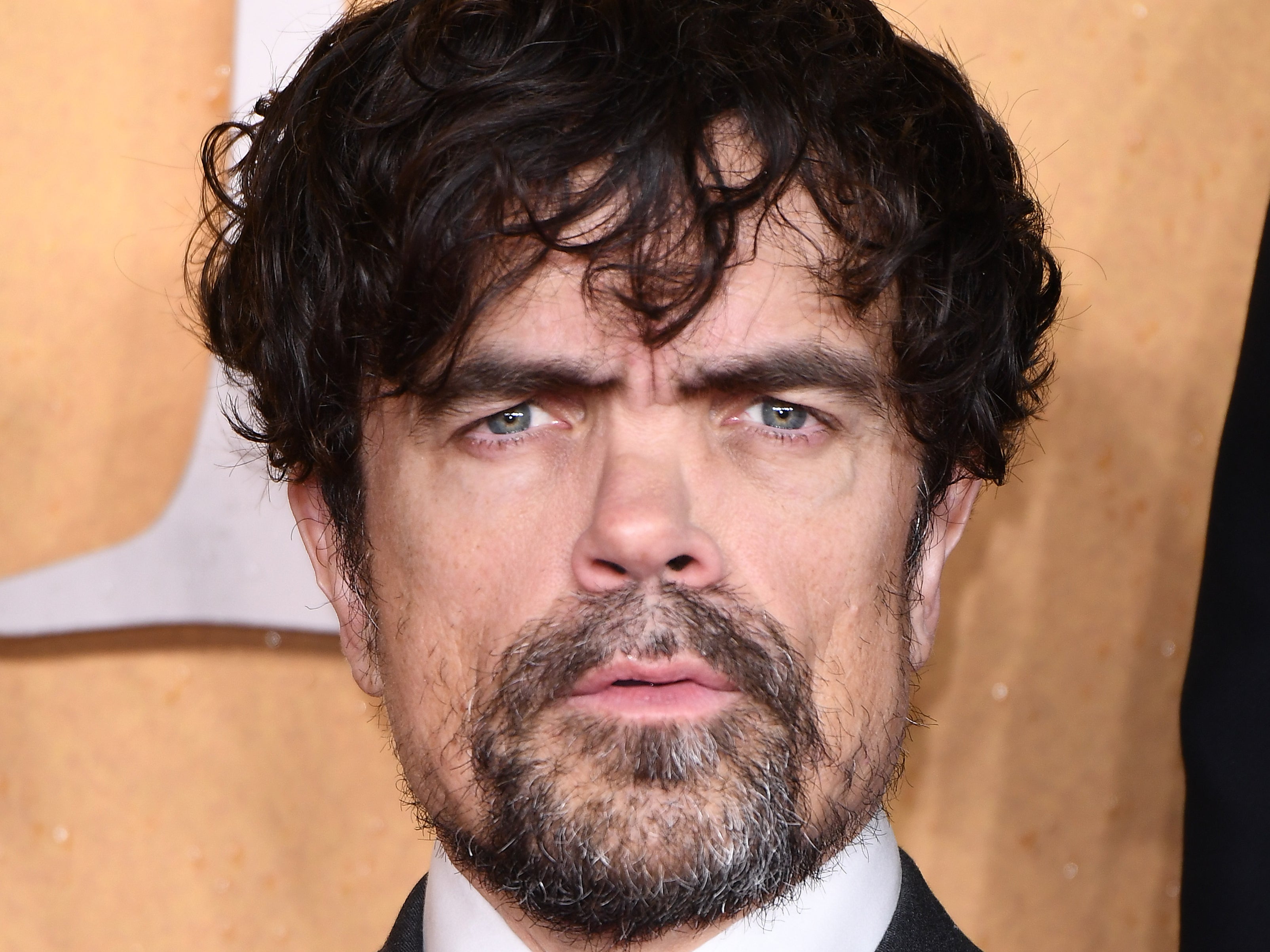 <p>Peter Dinklage</p>