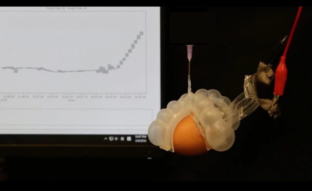 <p>Self-powered sensor can be integrated into soft robots, smart clothing</p>