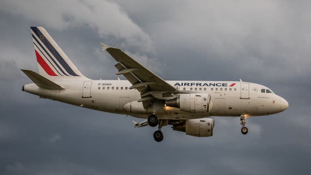 <p>An Air France Airbus A318 </p>