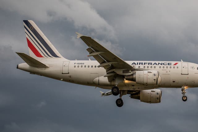 <p>An Air France Airbus A318 </p>