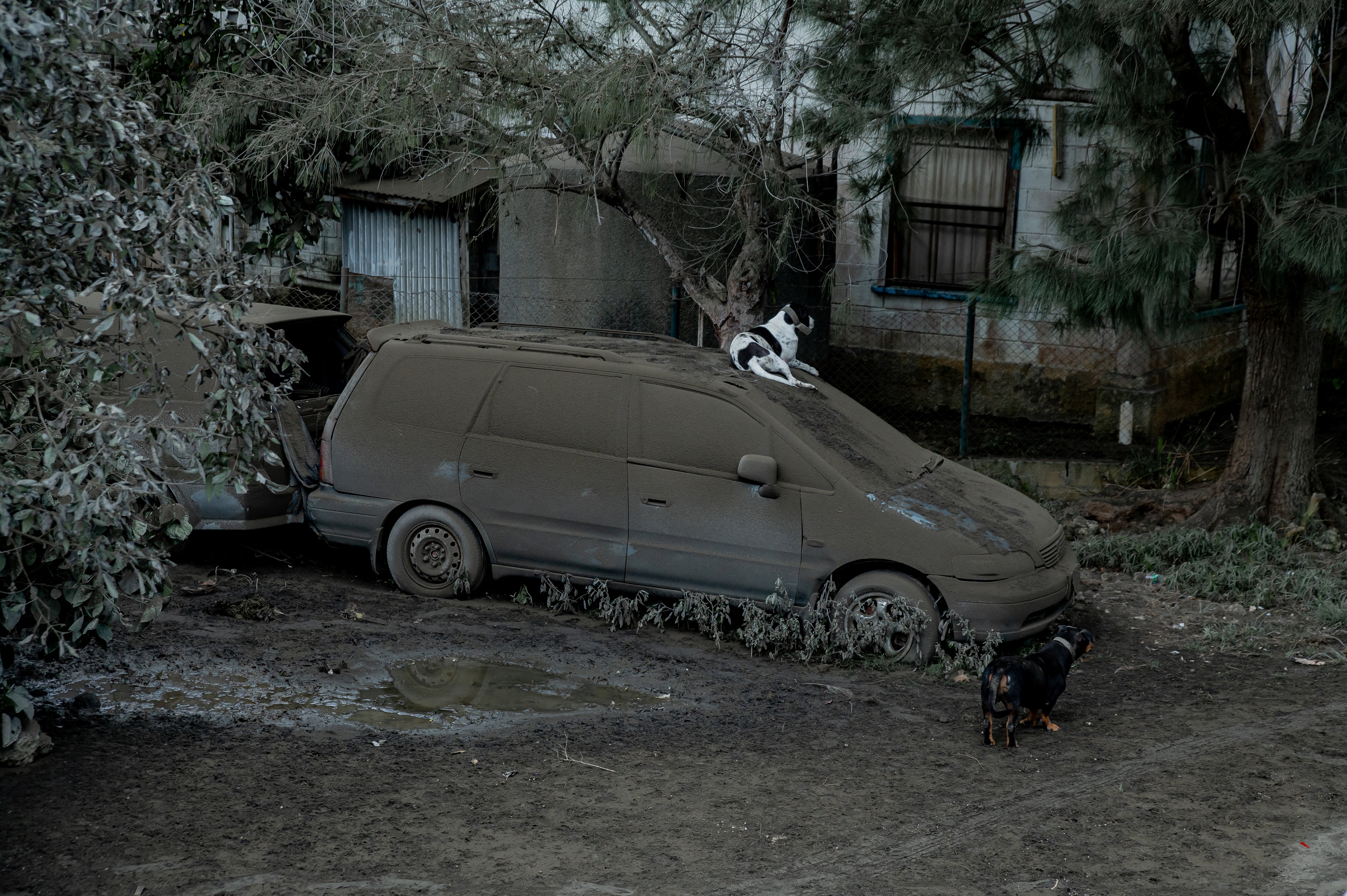 A car covered with ash is seen outside a house following volcanic eruption and Tsunami in Tongatapu, Tonga, on 16 January