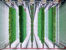 Walmart invests in indoor vertical farming startup Plenty