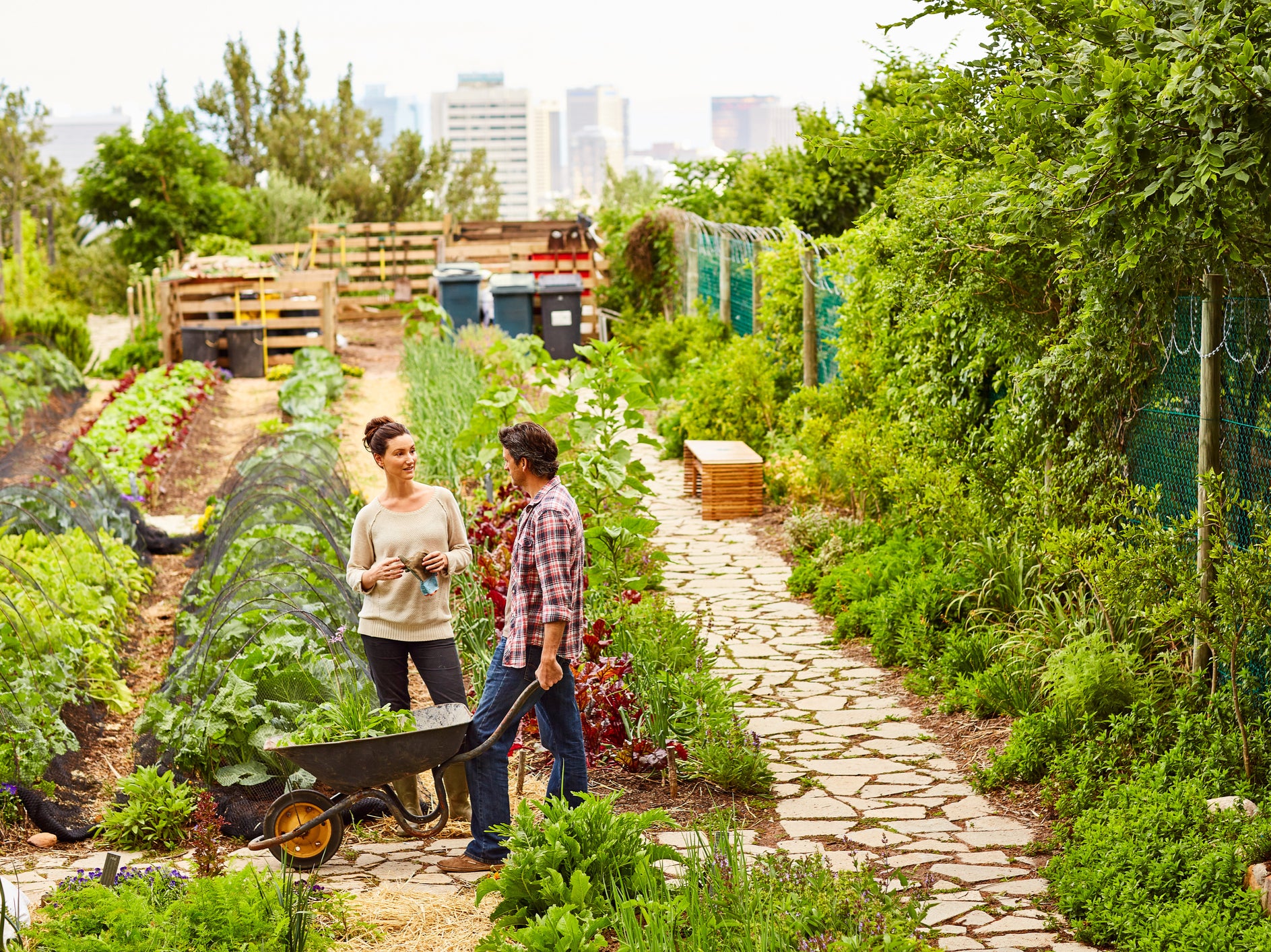 In the UK only around 1 per cent of urban green space is taken up by allotments dedicated for food production