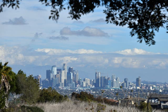 <p>The Los Angeles skyline </p>