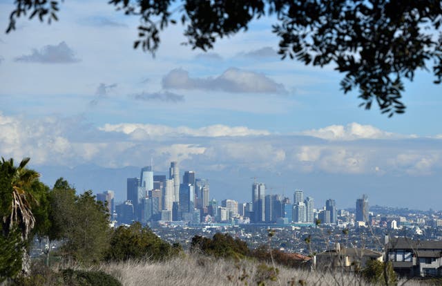 <p>The Los Angeles skyline </p>