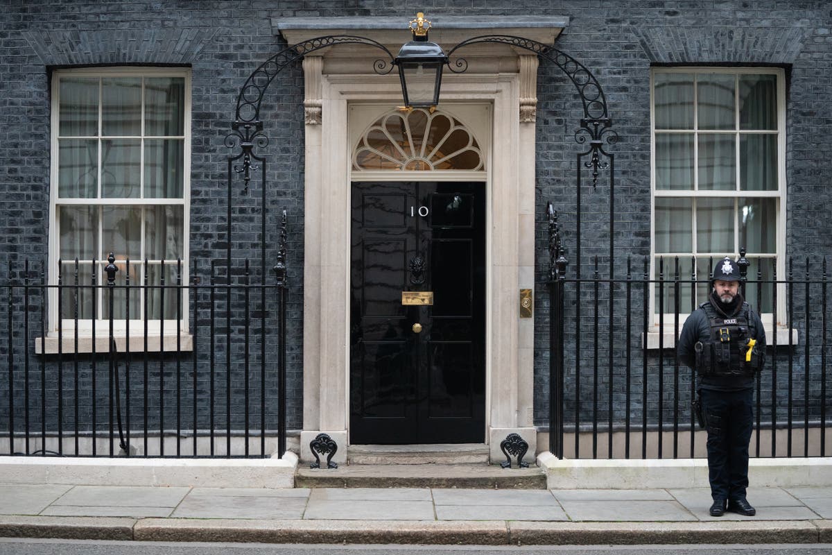 What do we know about the police team investigating No 10 parties? 