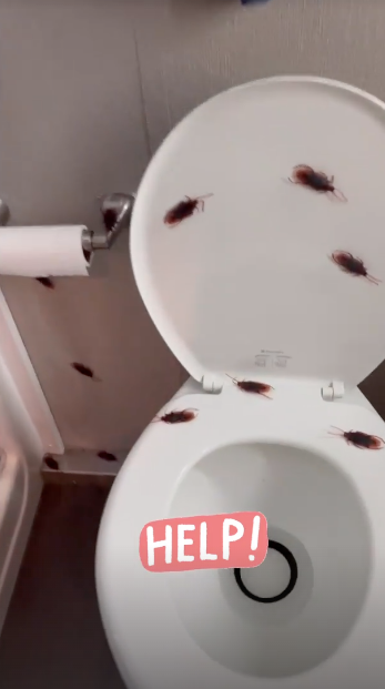 Kaley Cuoco screamed when she first saw her bathroom covered in the toy insects