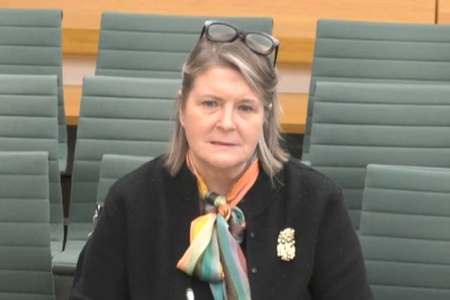 <p>Parliamentary Commissioner for Standards Kathryn Stone </p>