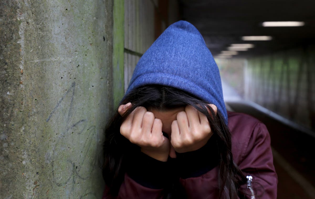 Findings of mental health services review ‘shocking and very serious’