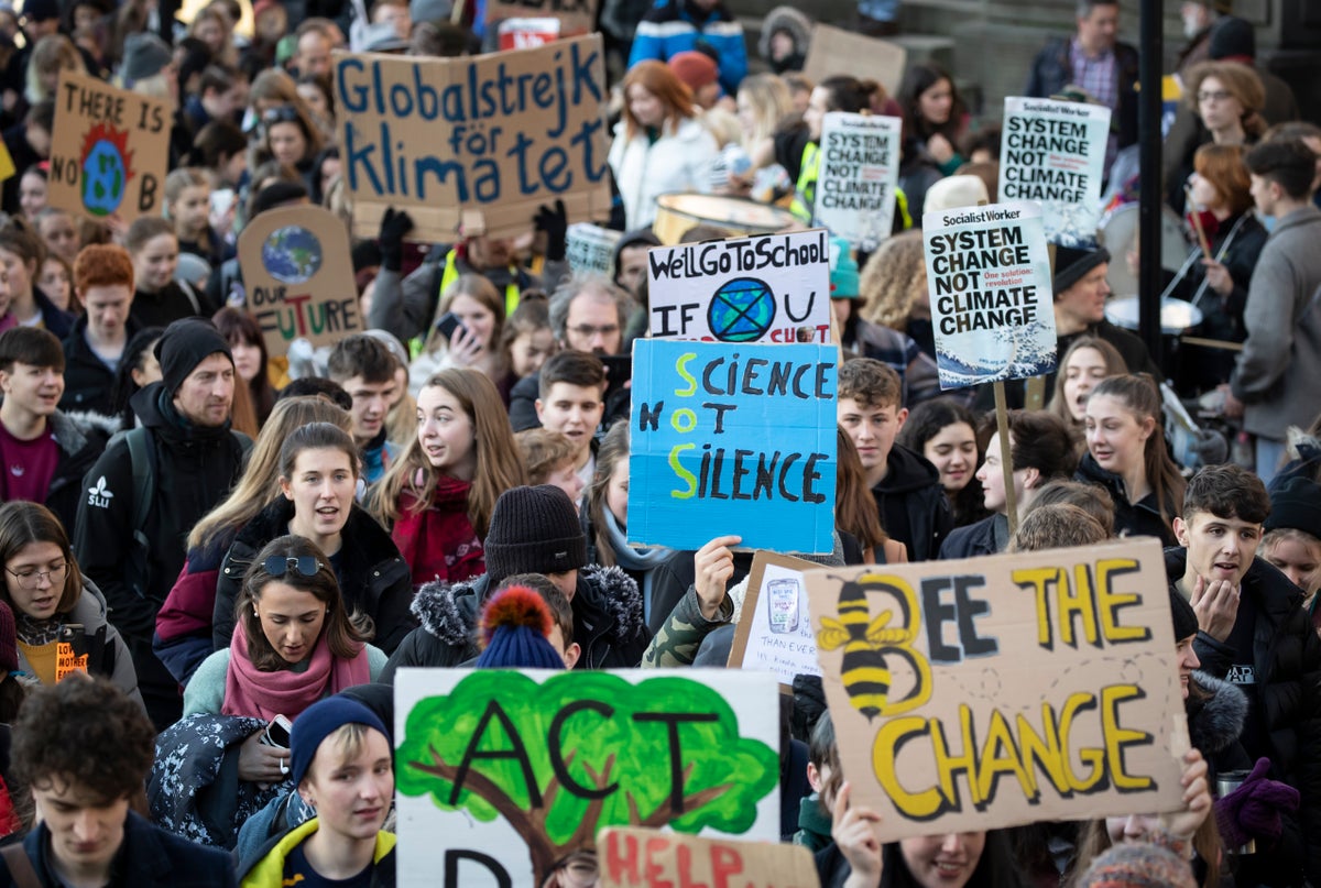 Half of school leavers ‘have had no climate crisis education in past year’