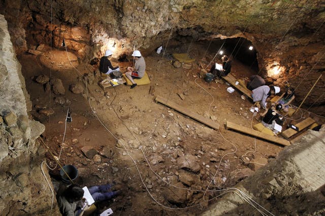 <p>Volunteers dust the ground on August 18, 2011, in the coastal cave of Lazaret near Nice, southern France, where a 170,000 year old Homo erectus forehead bone has been discovered</p>