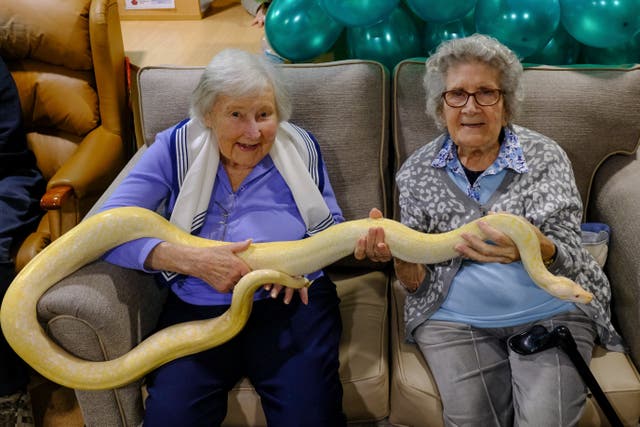 Care home residents holding a 6ft-long albino snake (Tristan Potter/Care UK/PA)