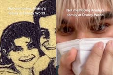 Fan shocked after discovering Ariana Grande’s family portrait at Disney World attraction