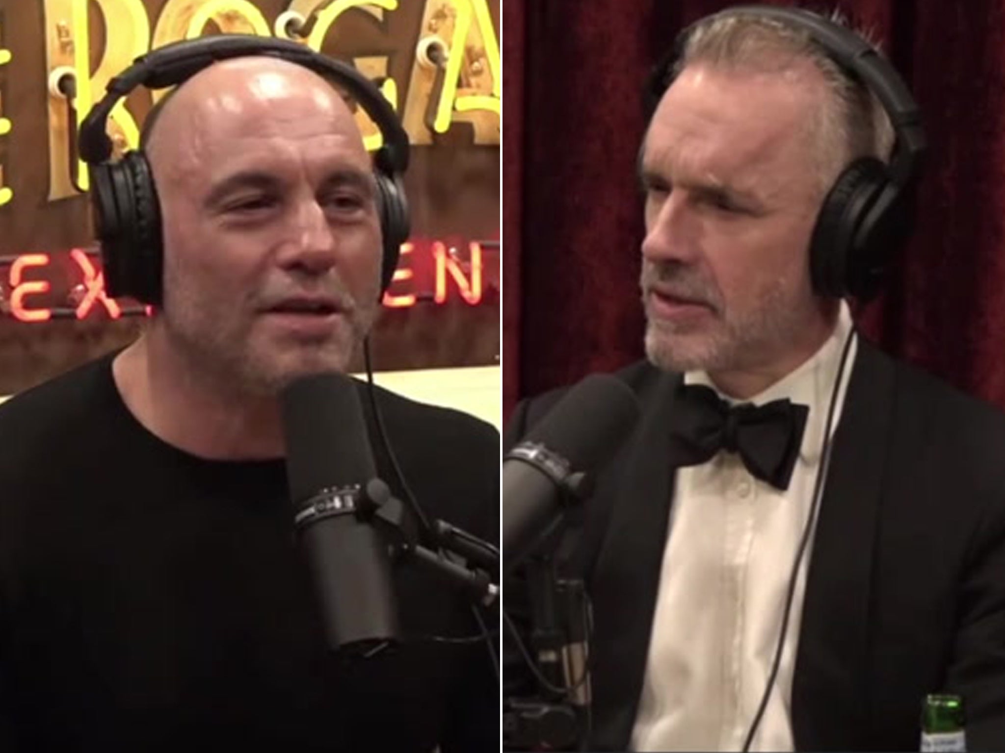 <p>Joe Rogan and Jordan Peterson </p>