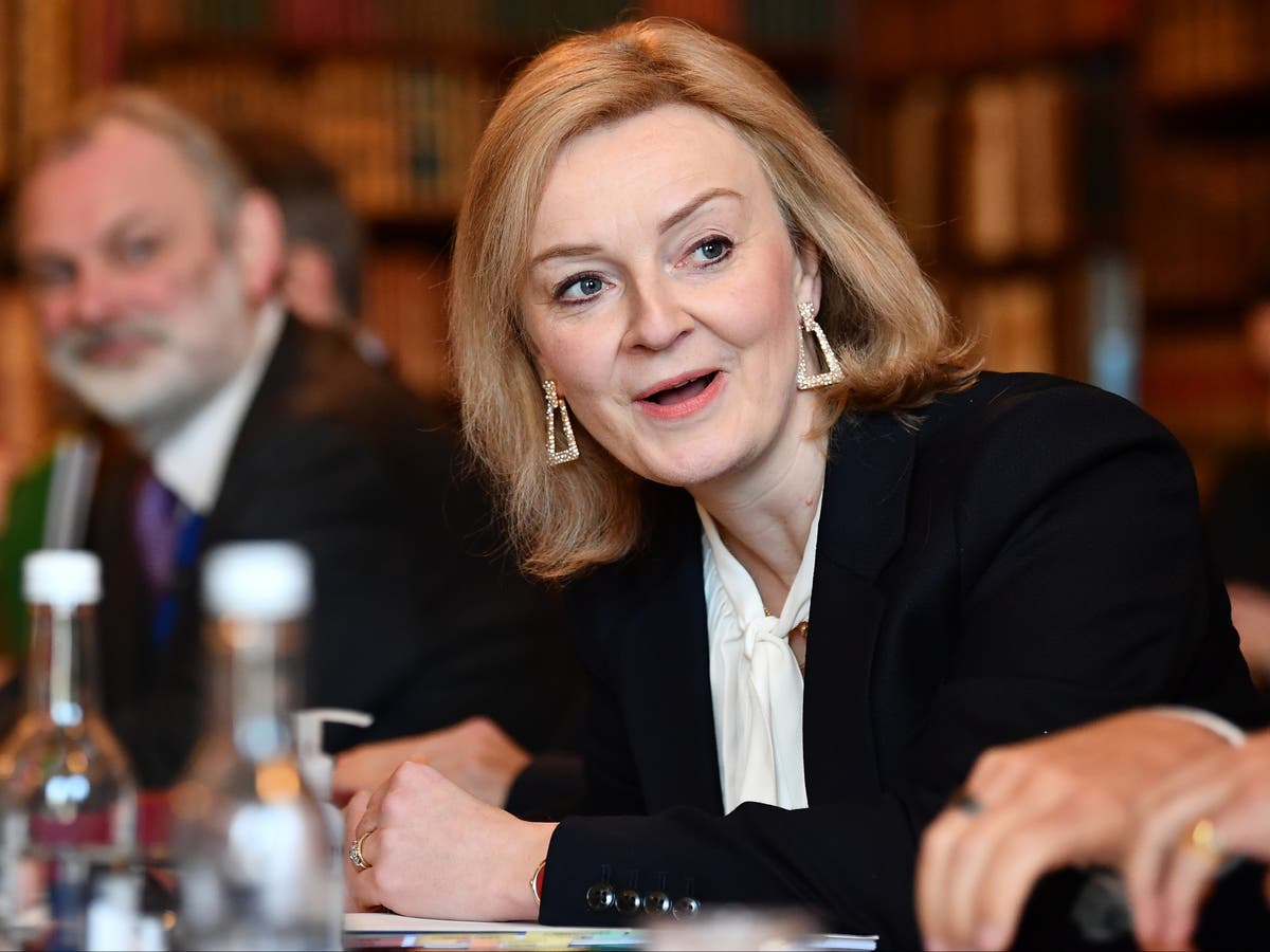 Liz Truss says government won&rsquo;t stop DUP from suspending Brexit checks