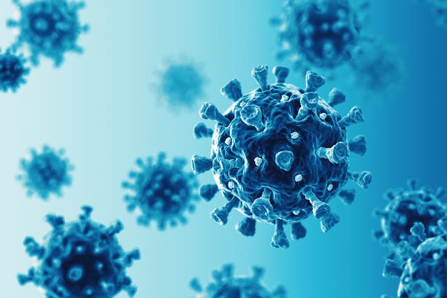 <p>Los científicos monitorean un nuevo coronavirus relacionado con el Mers-CoV </p>