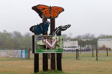 How QAnon sex trafficking conspiracy theories forced a butterfly sanctuary to shut down