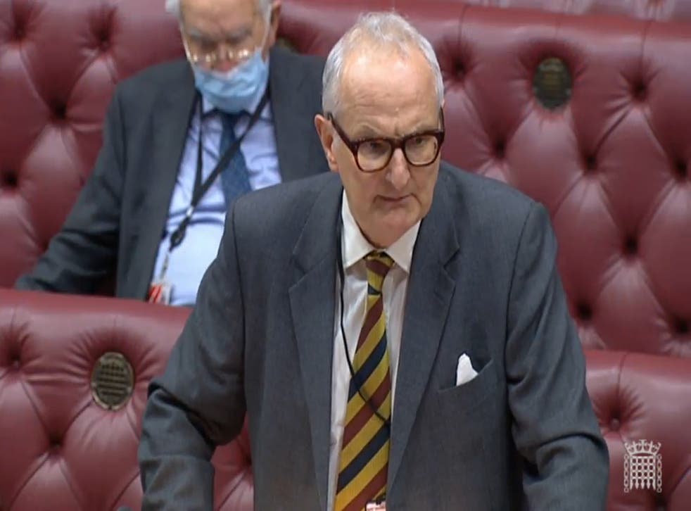 Lord Agnew of Oulton speaking in the House of Lords (PA)