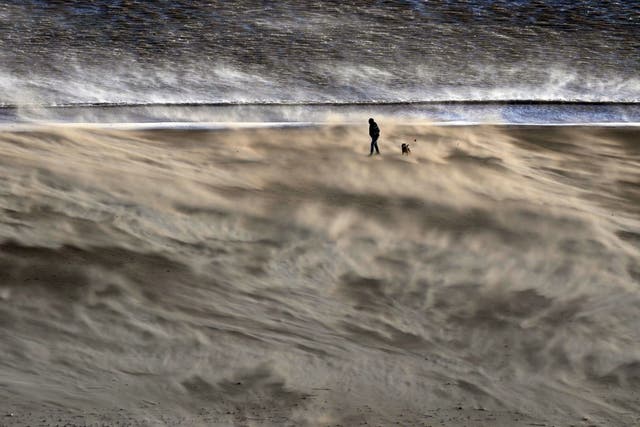 <p>Tynemouth beach in high winds on Saturday </p>