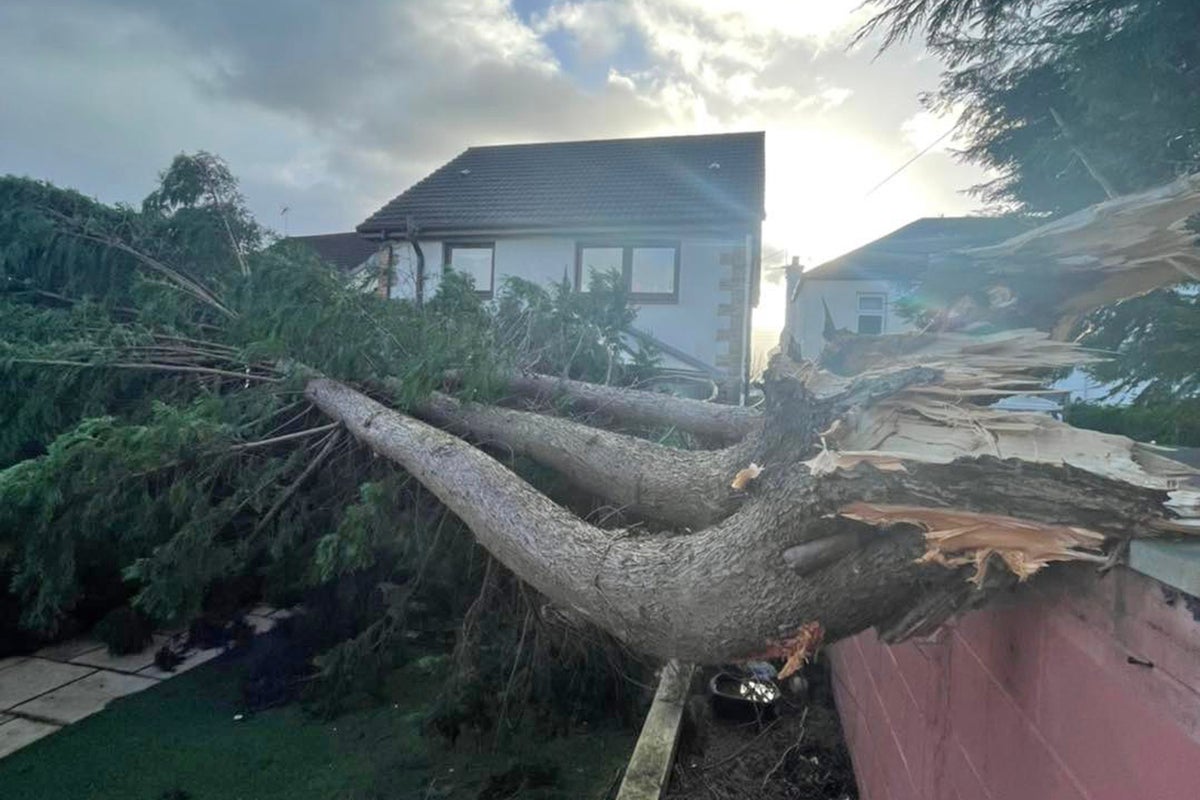 Thousands prepare for day three without power in wake of Storm Malik ...