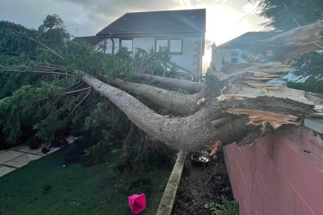 Stewart Sexton was left without power for ten days after Storm Arwen and fears it could be that long again this time (Gregor Fulton)