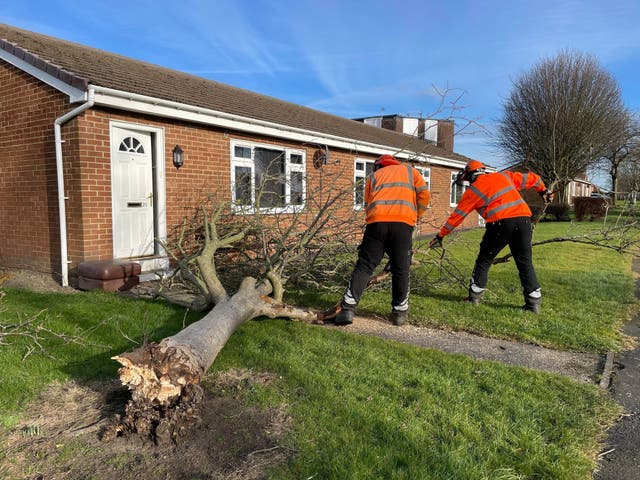 Workers clear a tree in County Durham (Durham County Council/PA)