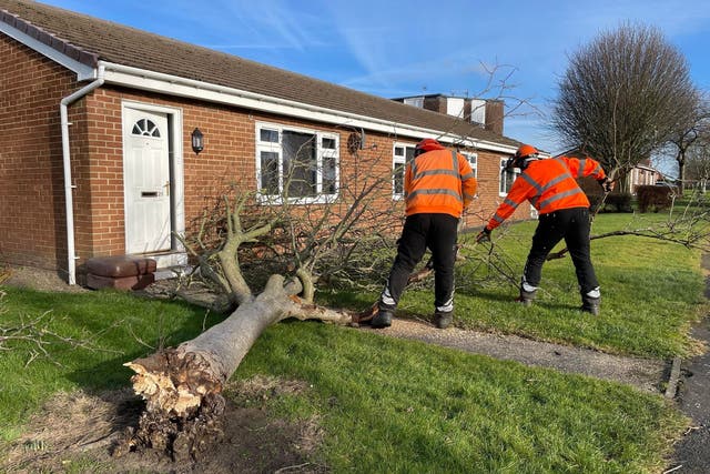 Workers clear a tree in County Durham (Durham County Council/PA)