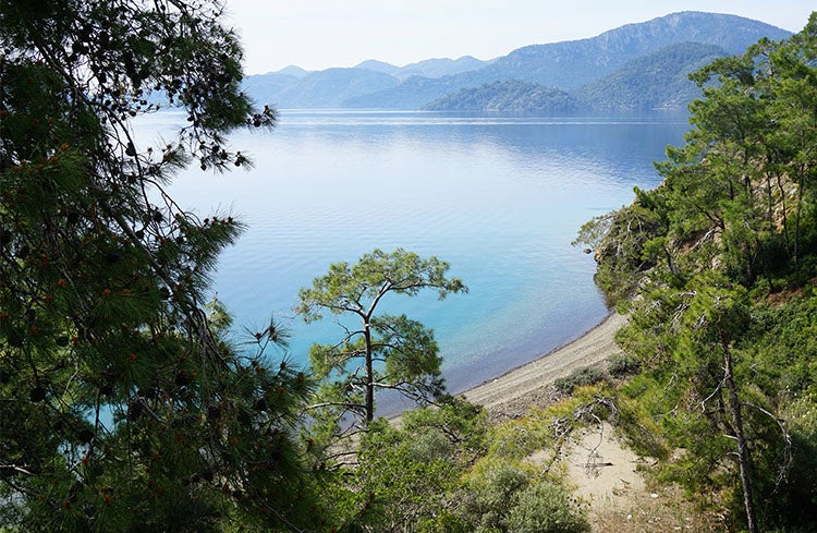 From kayaking to diving, it’s time to make a splash