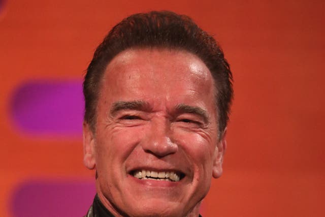 Arnold Schwarzenegger vows to ‘terminate pollution’ at Austrian climate summit (Isabel Infantes/PA)