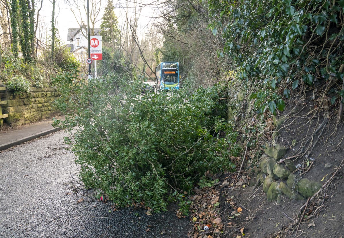 Power due to be restored to ‘vast majority’ of homes affected by storms