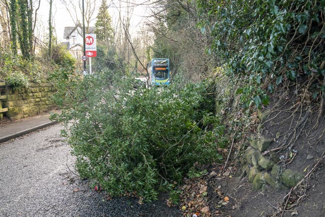 A fallen tree blocks a road in Woodlesford in West Yorkshire (Danny Lawson/PA)