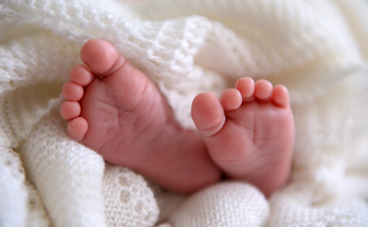 Children born through surrogacy are ‘disadvantaged’ over rights issues