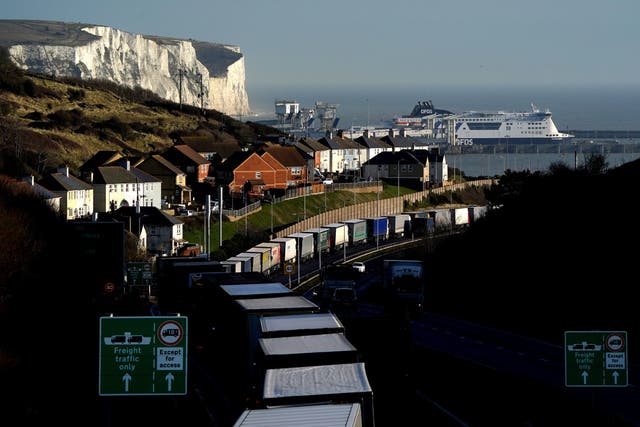 <p>Lorries queue outside Dover as a result of the latest customs checks </p>