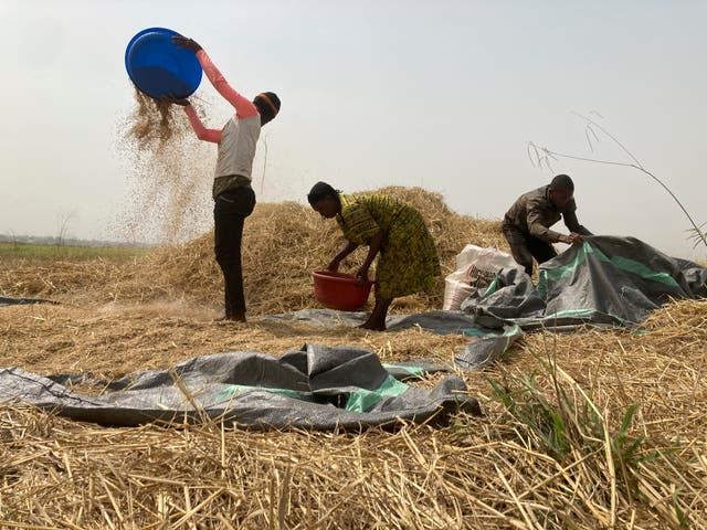 Nigeria Hunger Crisis