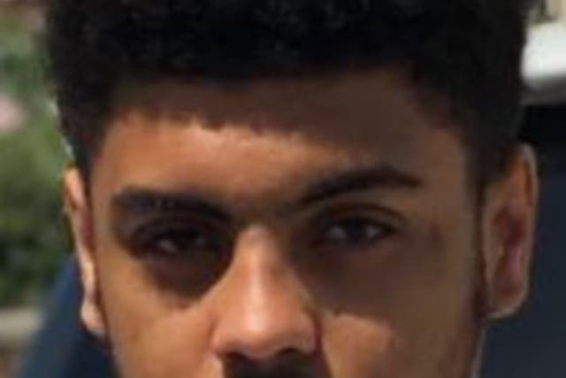 Alex was found with fatal stab wounds in Munster Square, off Euston Road, in Camden, north London, on August 12 2019 (Metropolitan Police/PA)