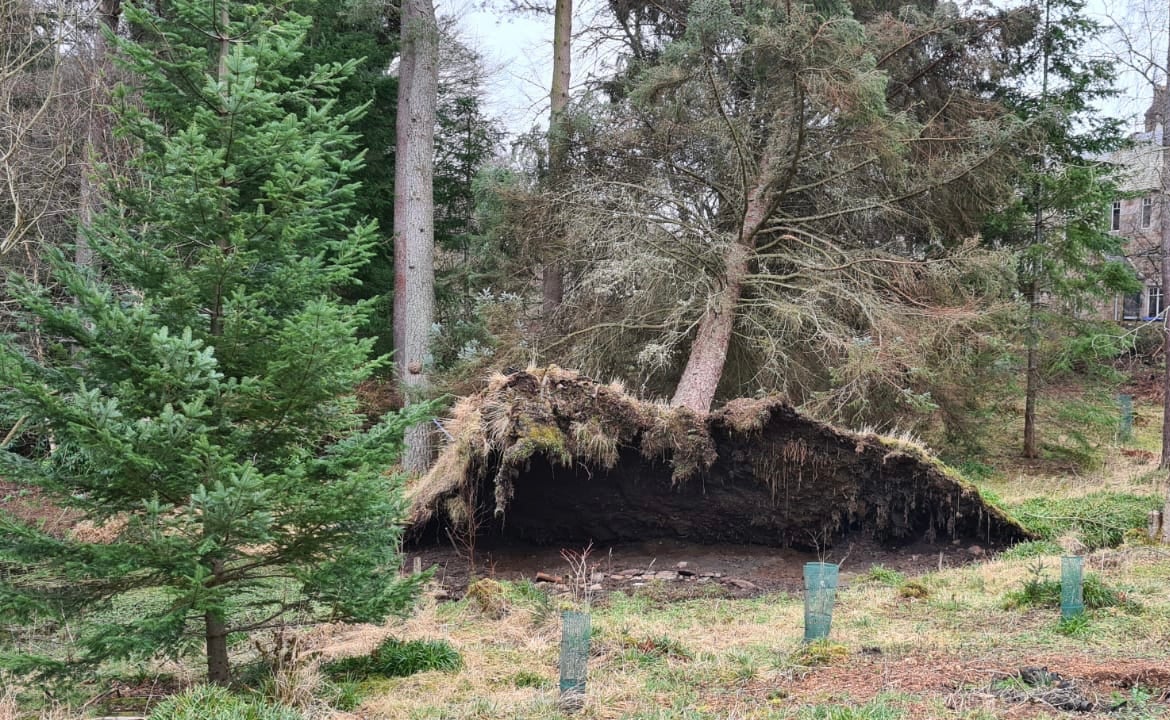 A tree which has blown over near a property in Aberdeenshire after Storm Corrie and Storm Malik battered parts of the country (PA)