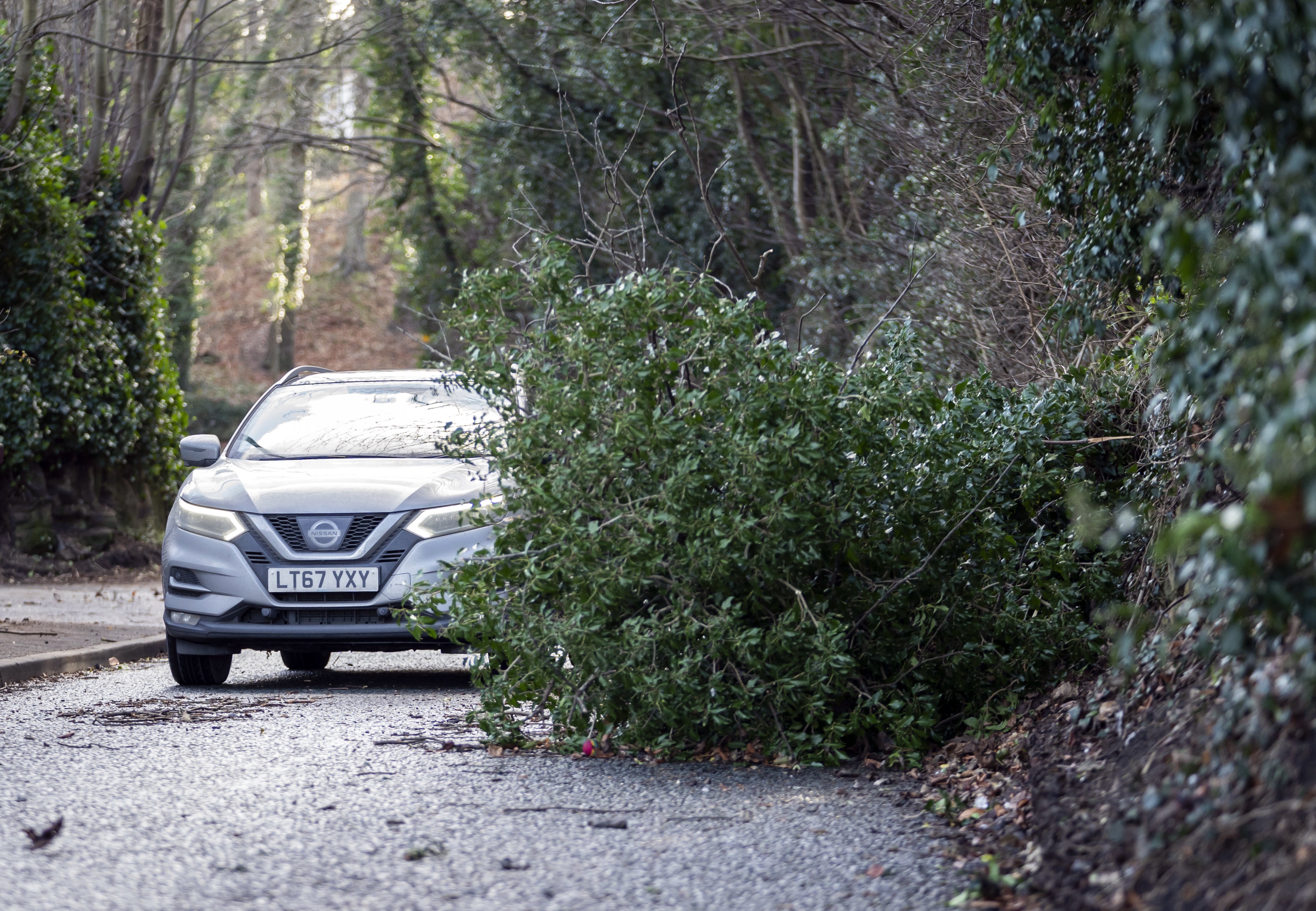 The severe weather brought trees down across the country (PA)