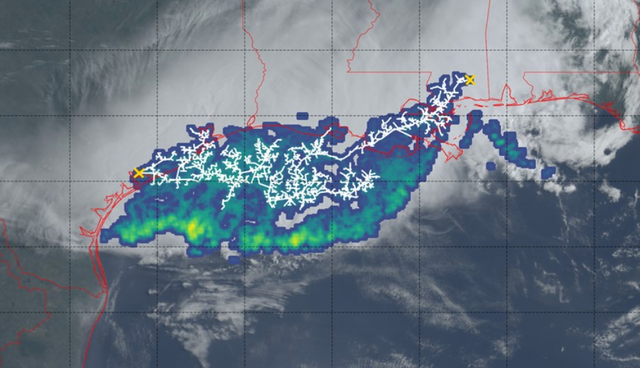 <p>Satellite image of record extent of lightning flash over the southern United States on 29 April 2020 </p>