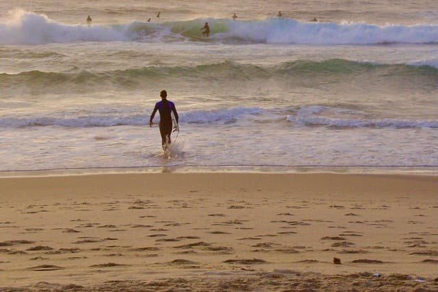 <p>After work: surfers at Bondi Beach, Sydney</p>