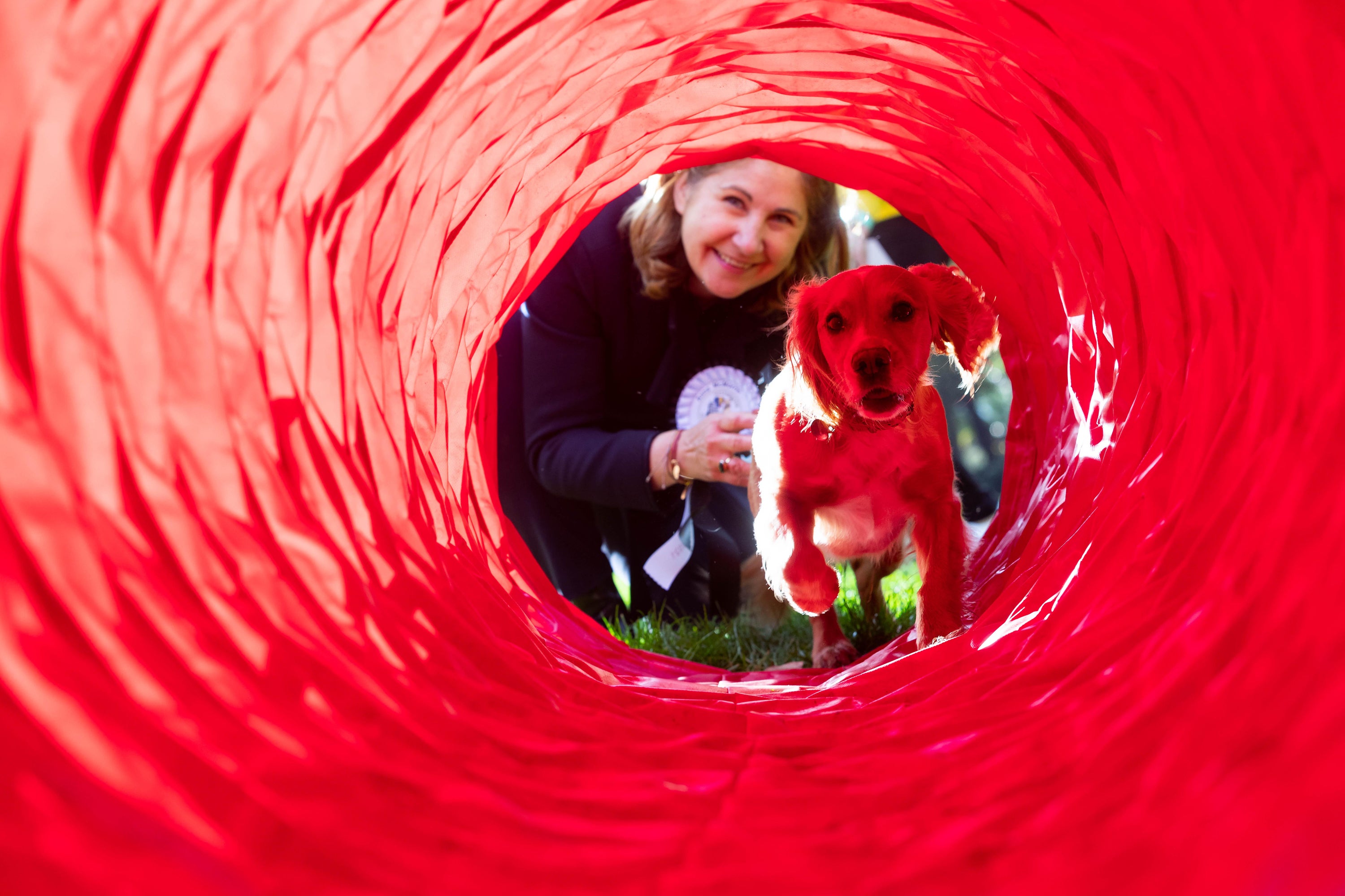 Ms McMorrin taking part in last year’s Westminster Dog of the Year competition (David Parry/PA)
