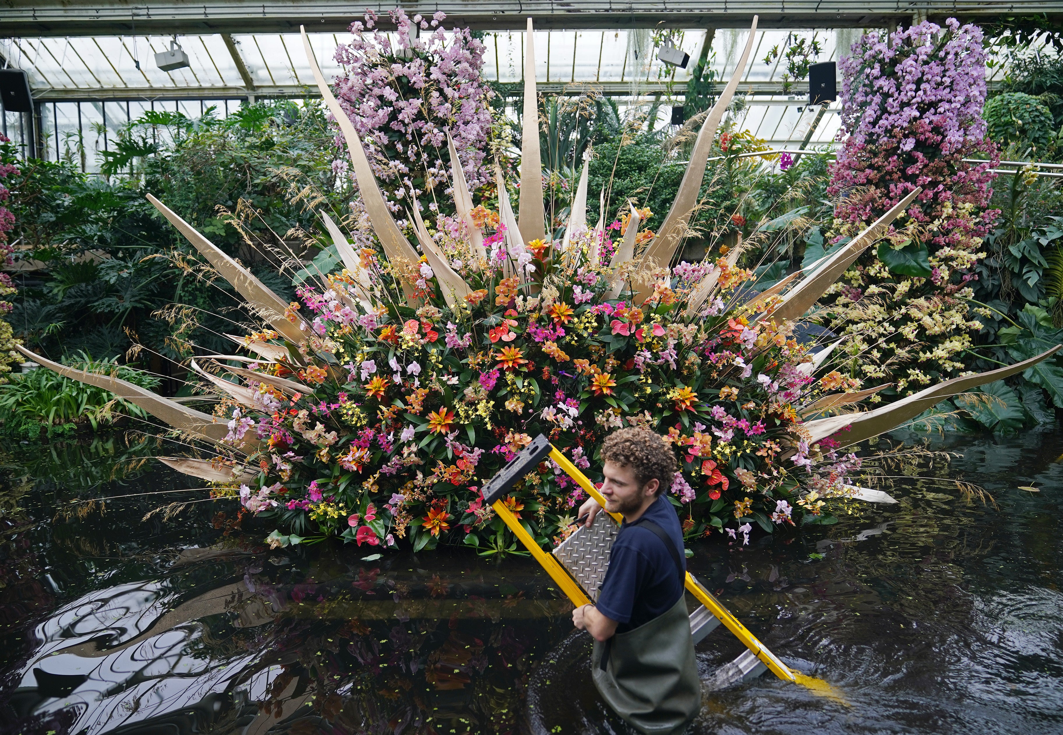The orchid festival will run from February 5 until March 6 (Yui Mok/PA)