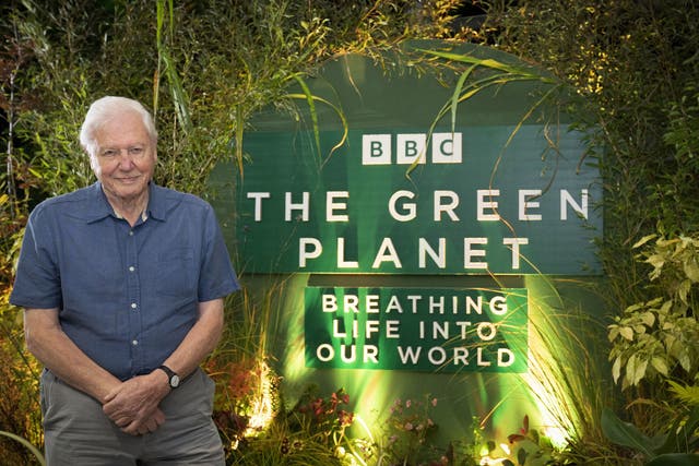 <p>Sir David Attenborough has said there has been an ‘awakening’ about the importance of the natural world, and the series ‘will bring it home' for people </p>