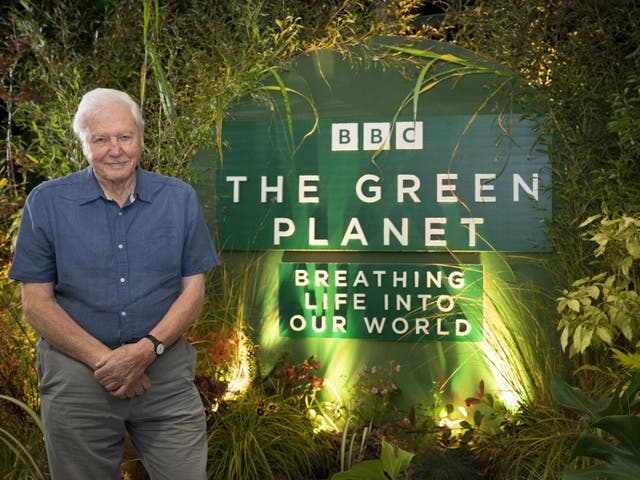 <p>Sir David Attenborough has said there has been an ‘awakening’ about the importance of the natural world, and the series ‘will bring it home' for people </p>